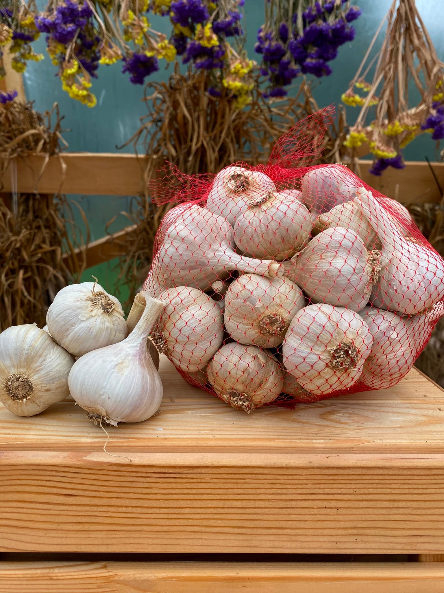 Ziemas ķiploki | MERIFIĀNS